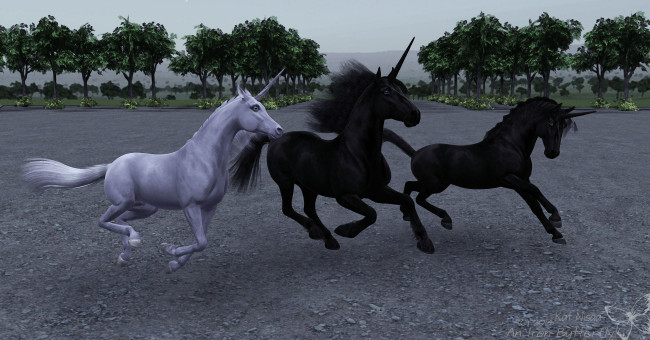 Обои картинки фото 3д графика, животные , animals, единороги