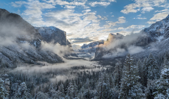 Обои картинки фото природа, горы, лес, ущелье