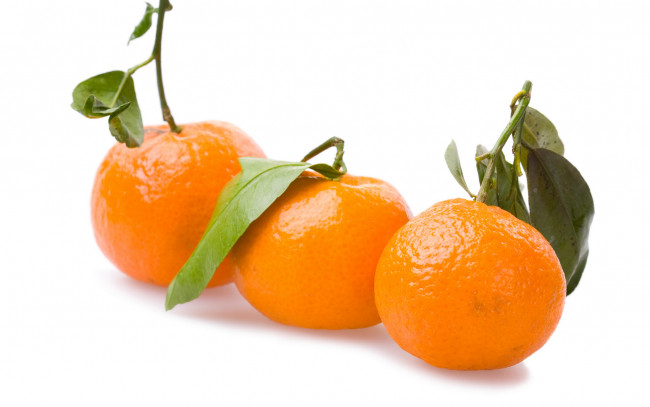 Обои картинки фото еда, цитрусы, черенки, листья, мандарины