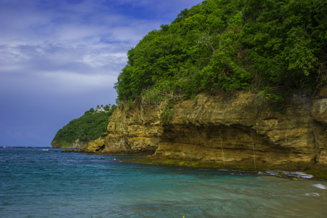 Обои картинки фото природа, побережье, лес, скалы