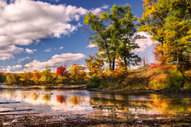 Обои картинки фото природа, реки, озера, река, лес