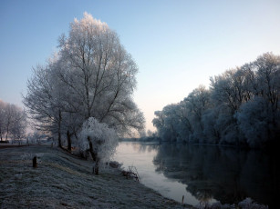 Картинка природа реки озера деревья иней река