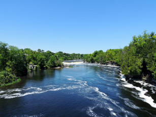 Картинка природа реки озера поток вода река деревья