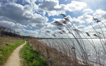Картинка природа побережье тропинка вода облака