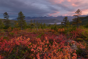 Картинка kolyma природа пейзажи пейзаж вид река осень красота край