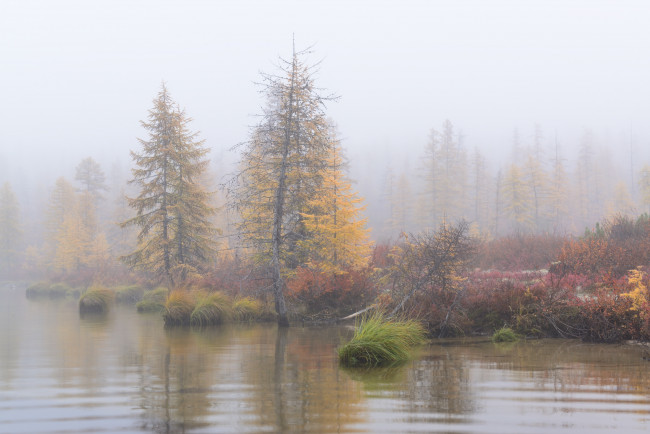 Обои картинки фото колыма,  озеро джека лондона, природа, реки, озера, лес, осень, джек, лондон, красота, озеро, пейзаж, вода