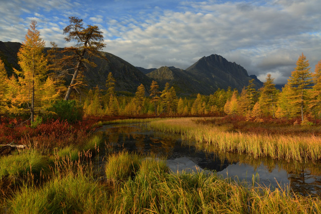 Обои картинки фото колыма,  озеро джека лондона, природа, реки, озера, пейзаж, вода, осень, джек, лондон, озеро, лес, красота