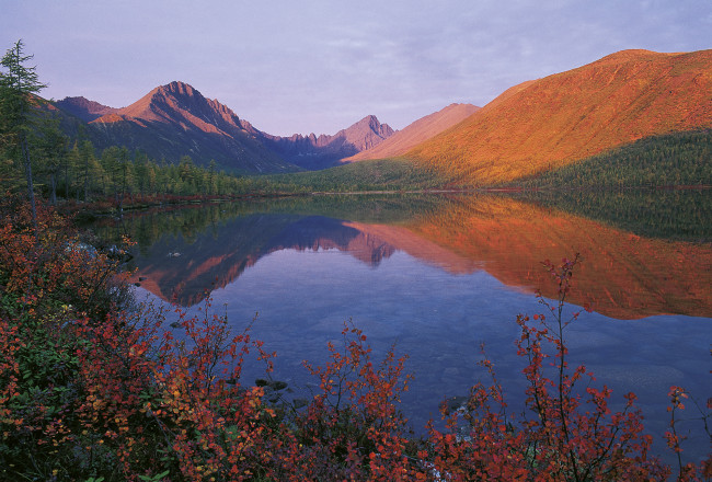 Обои картинки фото колыма,  озеро джека лондона, природа, реки, озера, лес, красота, пейзаж, вода, осень, джек, лондон, озеро