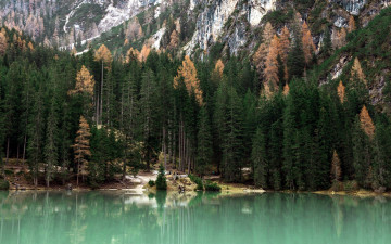 Картинка природа реки озера озеро