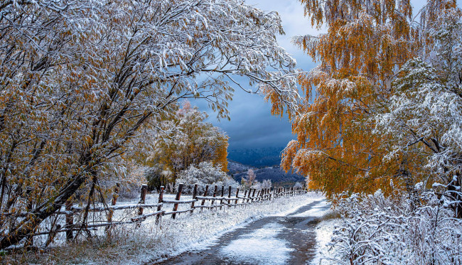 Обои картинки фото природа, зима, снег, сугробы