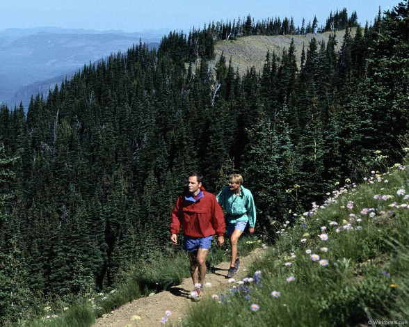 Обои картинки фото спорт, другое