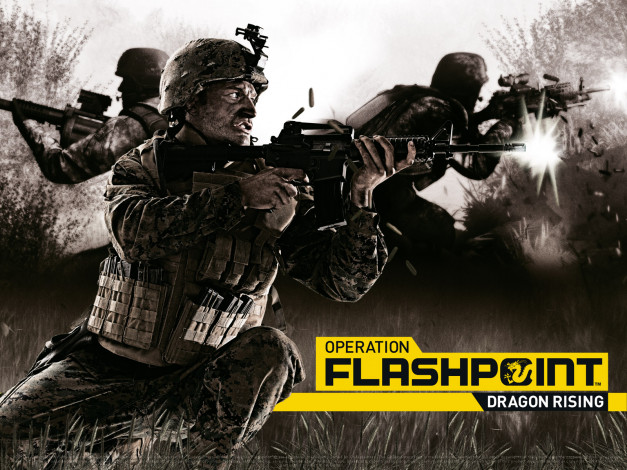 Обои картинки фото operation, flashpoint, dragon, rising, видео, игры