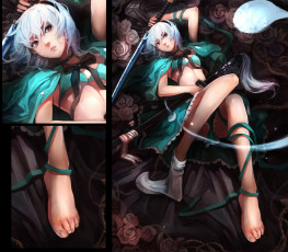 Картинка аниме touhou Ёму конпаку