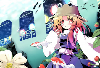 Картинка аниме touhou сувако мория