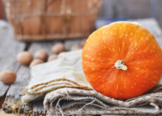 Картинка еда тыква