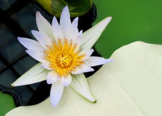 Картинка разное компьютерный+дизайн