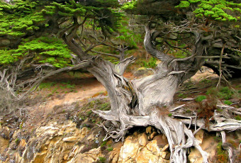 Картинка разное компьютерный+дизайн