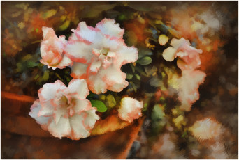 Картинка рисованные цветы бегония