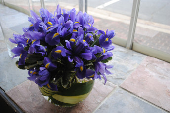 Картинка цветы букеты +композиции букет ирис