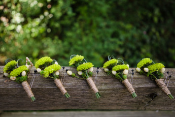 Картинка цветы хризантемы букет