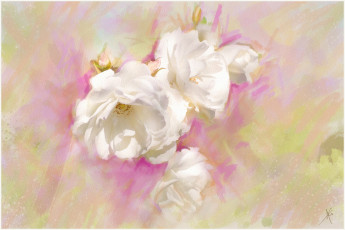 Картинка рисованные цветы розы