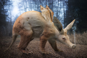 Картинка юмор+и+приколы чудо-юдо