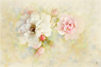 Картинка рисованные цветы розы