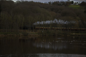 Картинка техника паровозы рельсы локомотив поезда