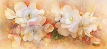 Картинка рисованные цветы бегония