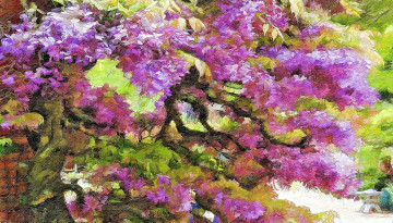 Картинка разное компьютерный+дизайн