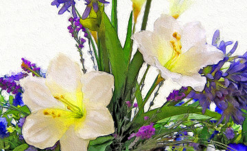 Картинка разное компьютерный+дизайн