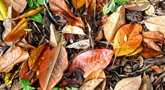 Обои картинки фото разное, компьютерный дизайн