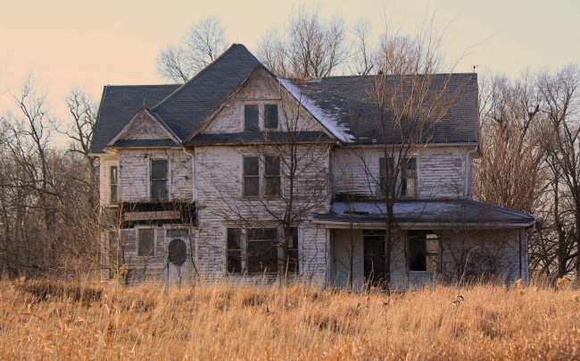 Обои картинки фото разное, развалины,  руины,  металлолом, сухостой, ветви, дом, трава, деревья