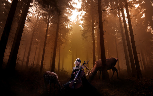 Обои картинки фото фэнтези, фотоарт, лес