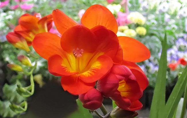 Обои картинки фото разное, компьютерный дизайн, цветы