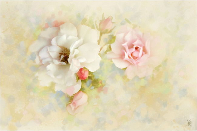 Обои картинки фото рисованные, цветы, розы