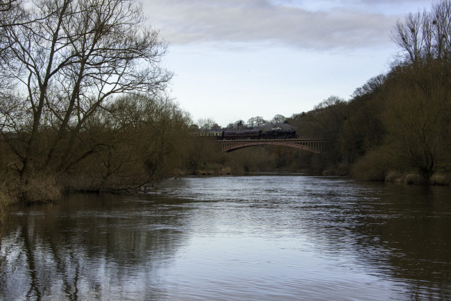 Обои картинки фото техника, паровозы, поезда, рельсы, локомотив