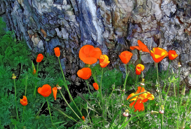 Обои картинки фото разное, компьютерный дизайн