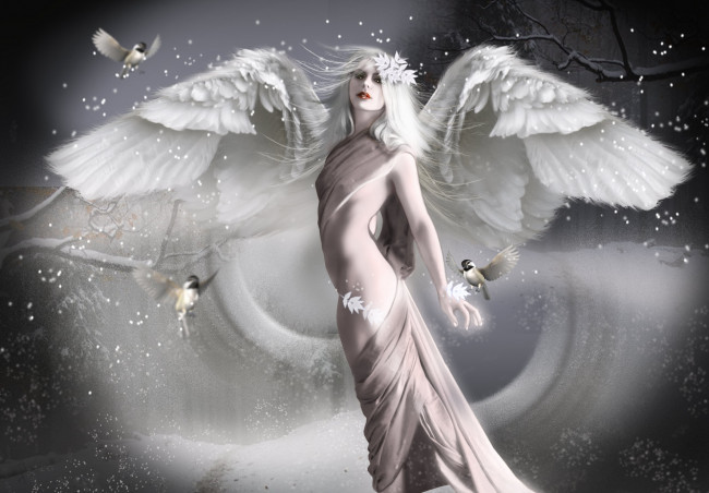 Обои картинки фото фэнтези, фотоарт, крылья