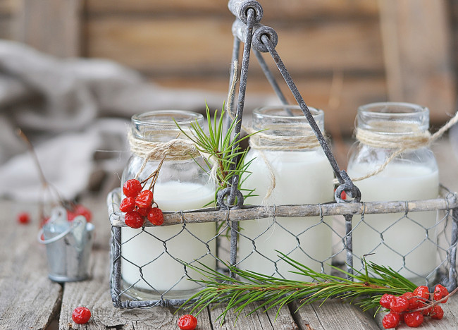 Обои картинки фото еда, масло,  молочные продукты, бутылки, молоко, калина