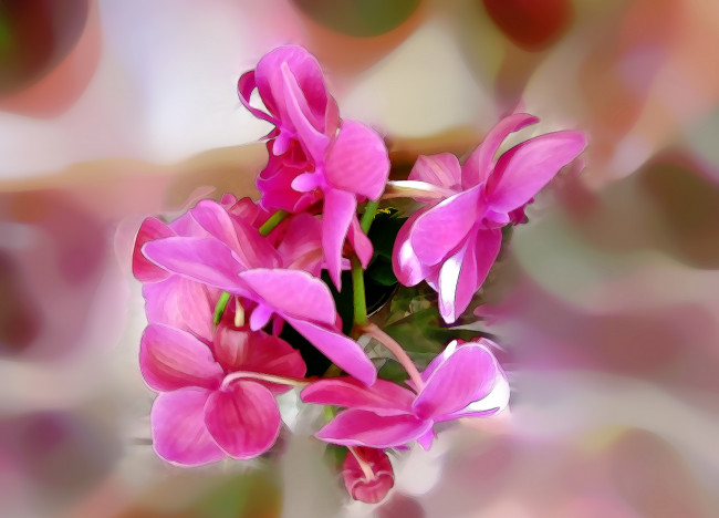 Обои картинки фото разное, компьютерный дизайн