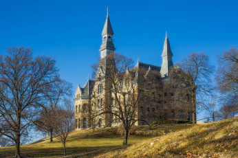 Картинка park+university города -+здания +дома университет здание пригорок парк