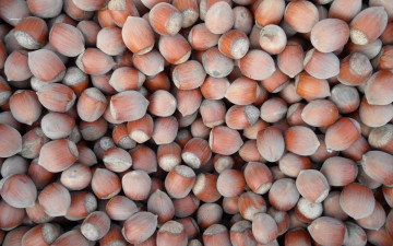 Картинка еда орехи +каштаны +какао-бобы фундук