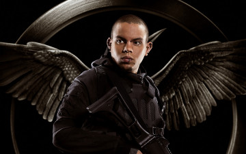 Картинка кино+фильмы the+hunger+games +mockingjay+-+part+1 крылья