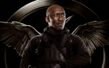Картинка кино+фильмы the+hunger+games +mockingjay+-+part+1 крылья