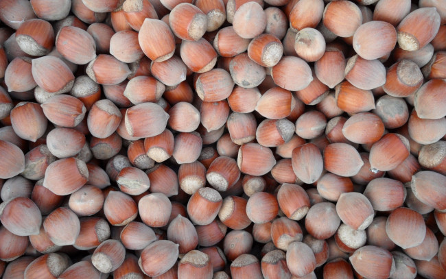 Обои картинки фото еда, орехи,  каштаны,  какао-бобы, фундук
