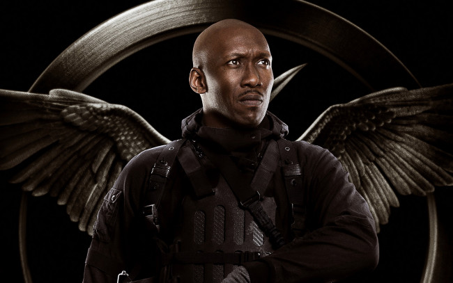 Обои картинки фото кино фильмы, the hunger games,  mockingjay - part 1, крылья