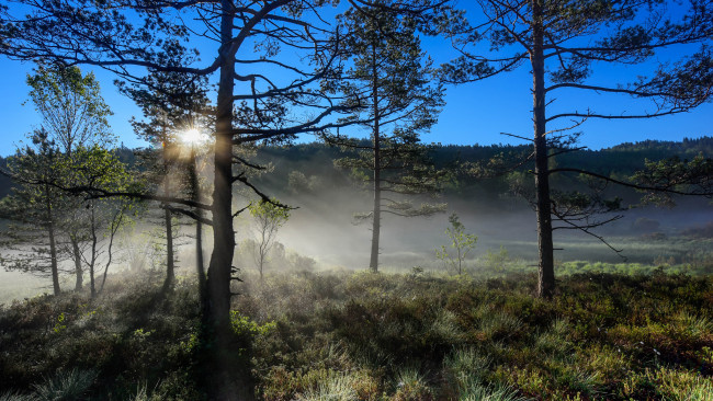 Обои картинки фото природа, восходы, закаты, рассвет