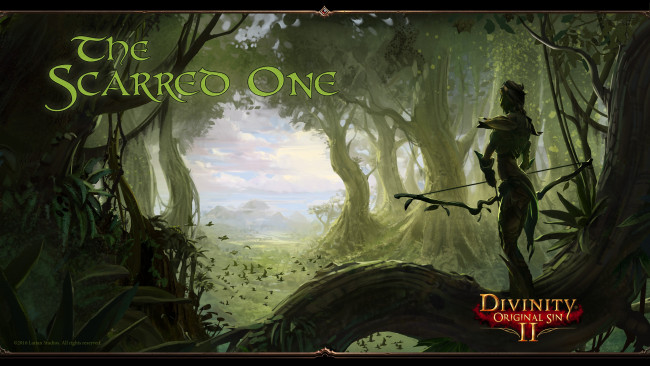 Обои картинки фото divinity,  original sin ii, видео игры, original, sin, ii, ролевая, онлайн, action