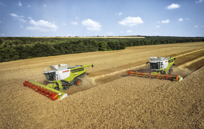 Обои картинки фото техника, комбайны, claas, lexion